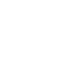 cerveceria-gambrinus-logo-300x309